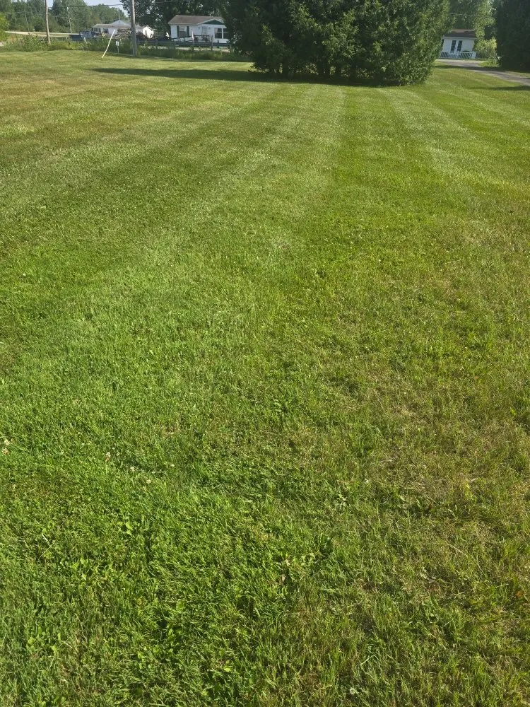 Affordable residential landscaping in Sanford, MI by Todd's Lawn Maintenance