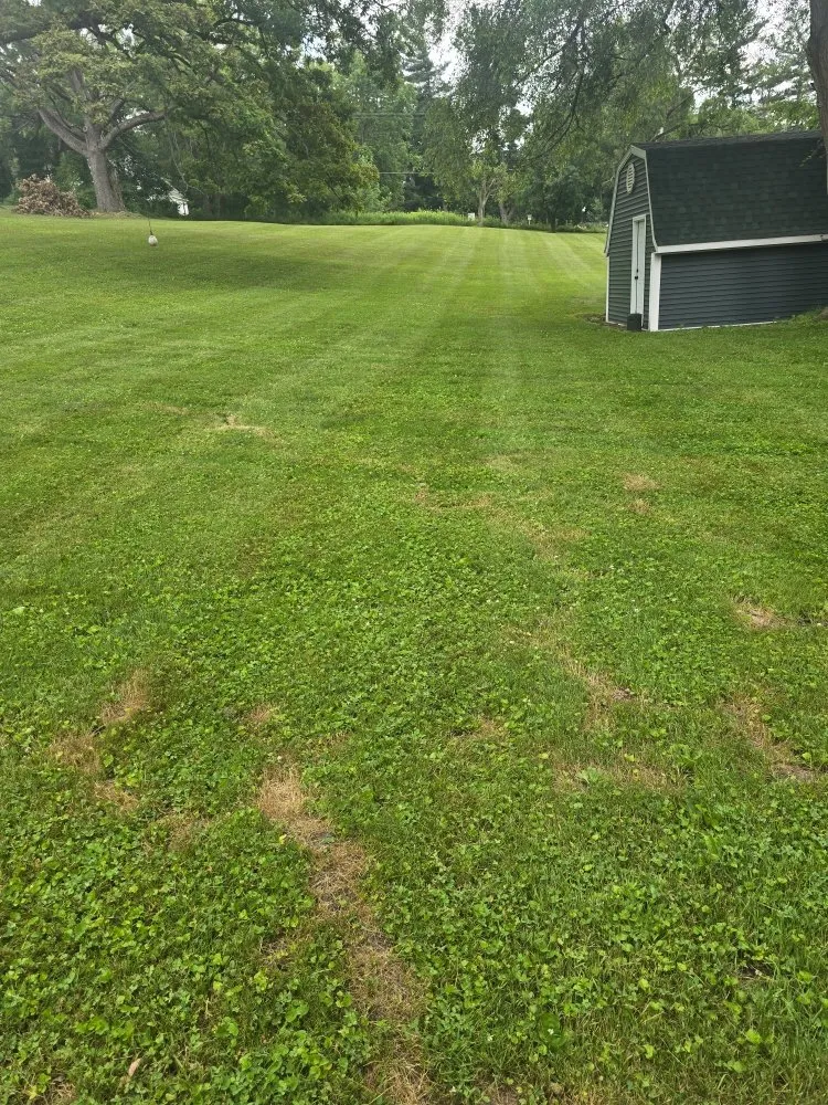 Affordable lawn care service for homes across Sanford, MI - Todd's Lawn Maintenance