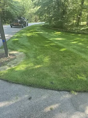 Todd's Lawn Maintenance Logo