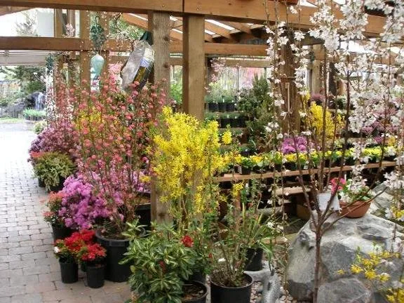 Professional landscape installation experts serving Puyallup, WA - Todd's Nursery & Landscaping