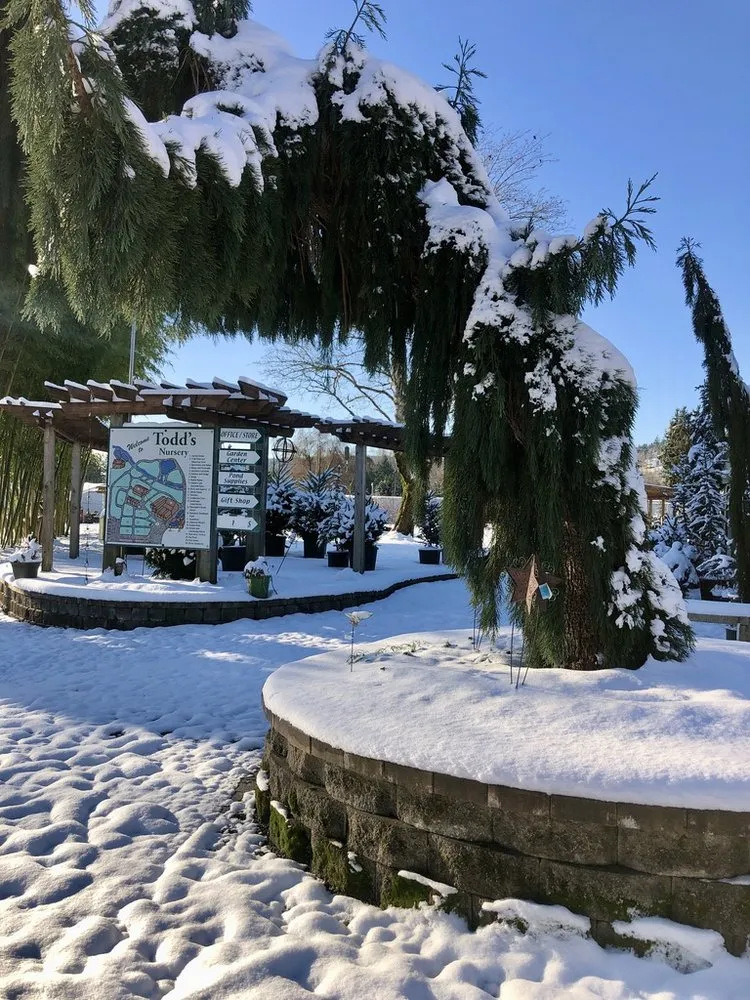 Local yard cleanup service in Puyallup, WA - Todd's Nursery & Landscaping