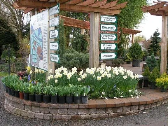 Custom lawn mowing service in Puyallup, WA by Todd's Nursery & Landscaping