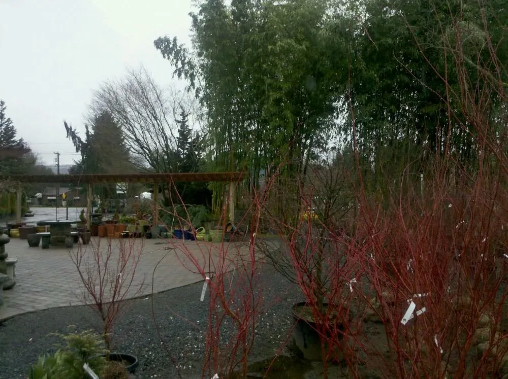 Expert garden landscaping for beautiful yards in Puyallup, WA by Todd's Nursery & Landscaping