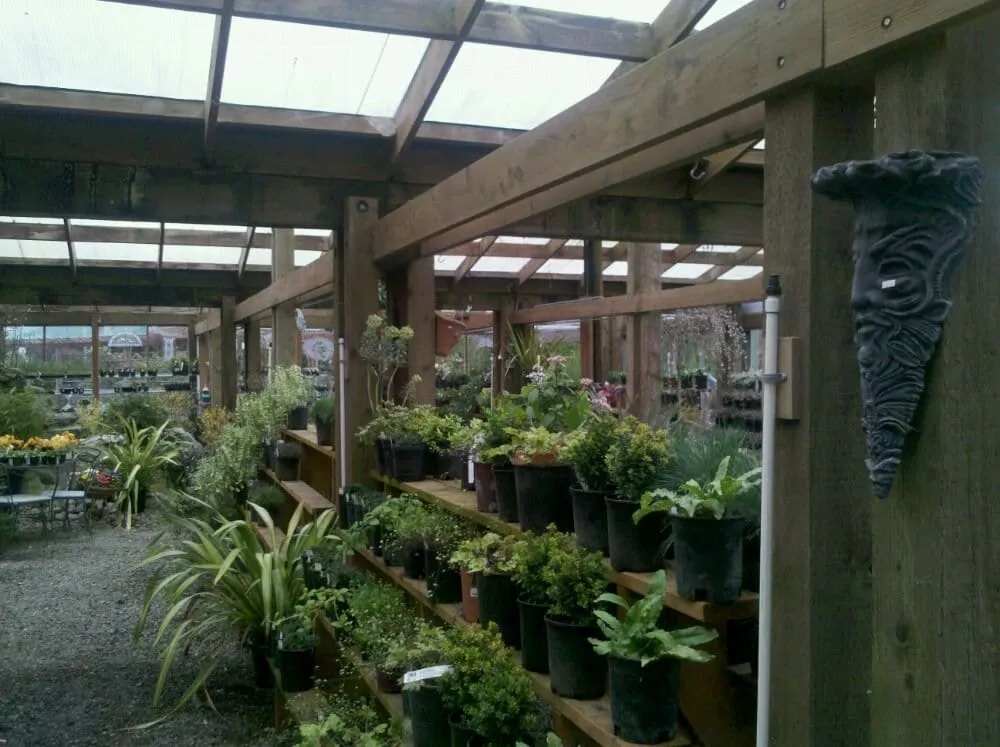 Affordable yard cleanup service for residential properties in Puyallup, WA by Todd's Nursery & Landscaping