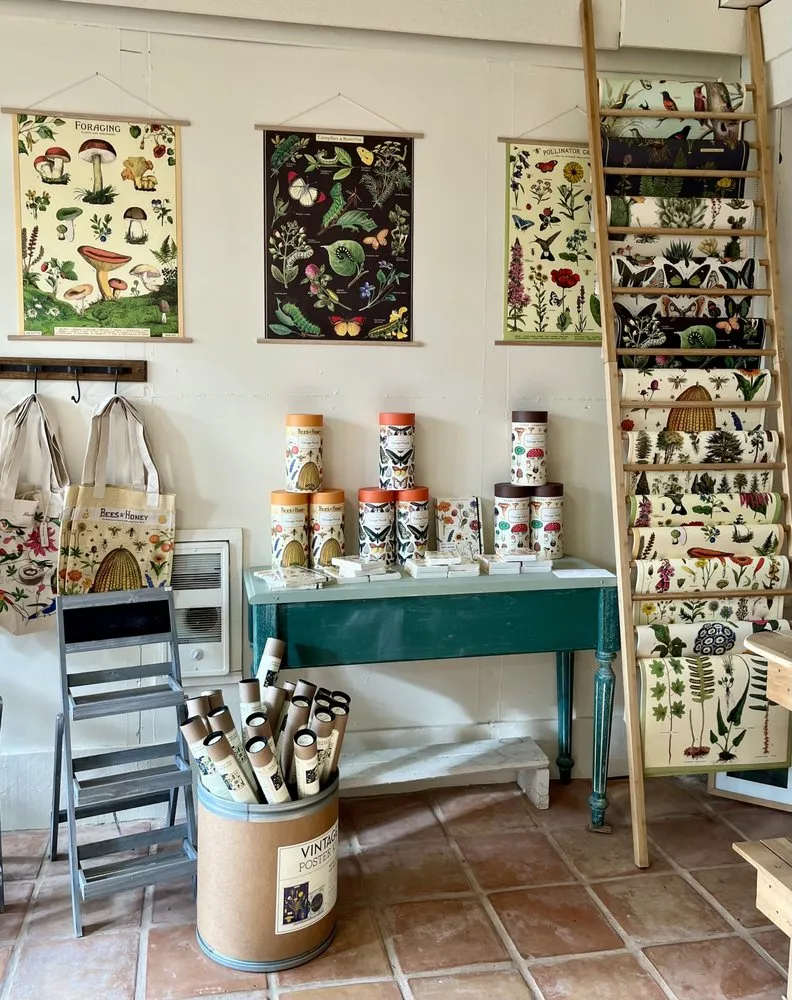 Local yard maintenance in Puyallup, WA by Todd's Nursery & Landscaping