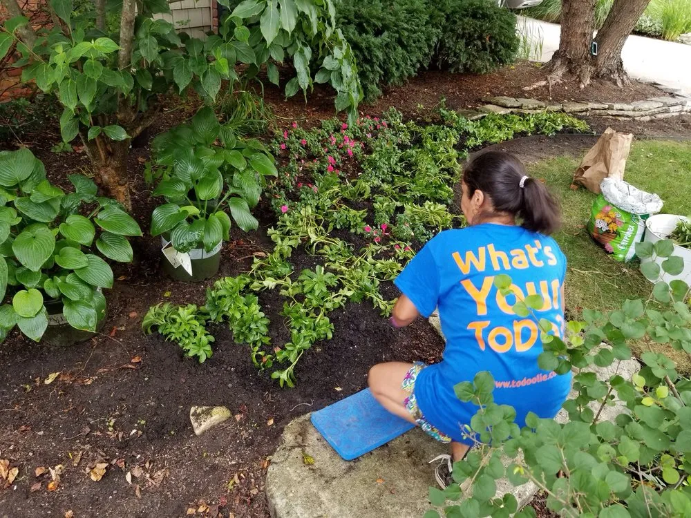 Trusted lawn care service in Detroit, MI by Todoolie