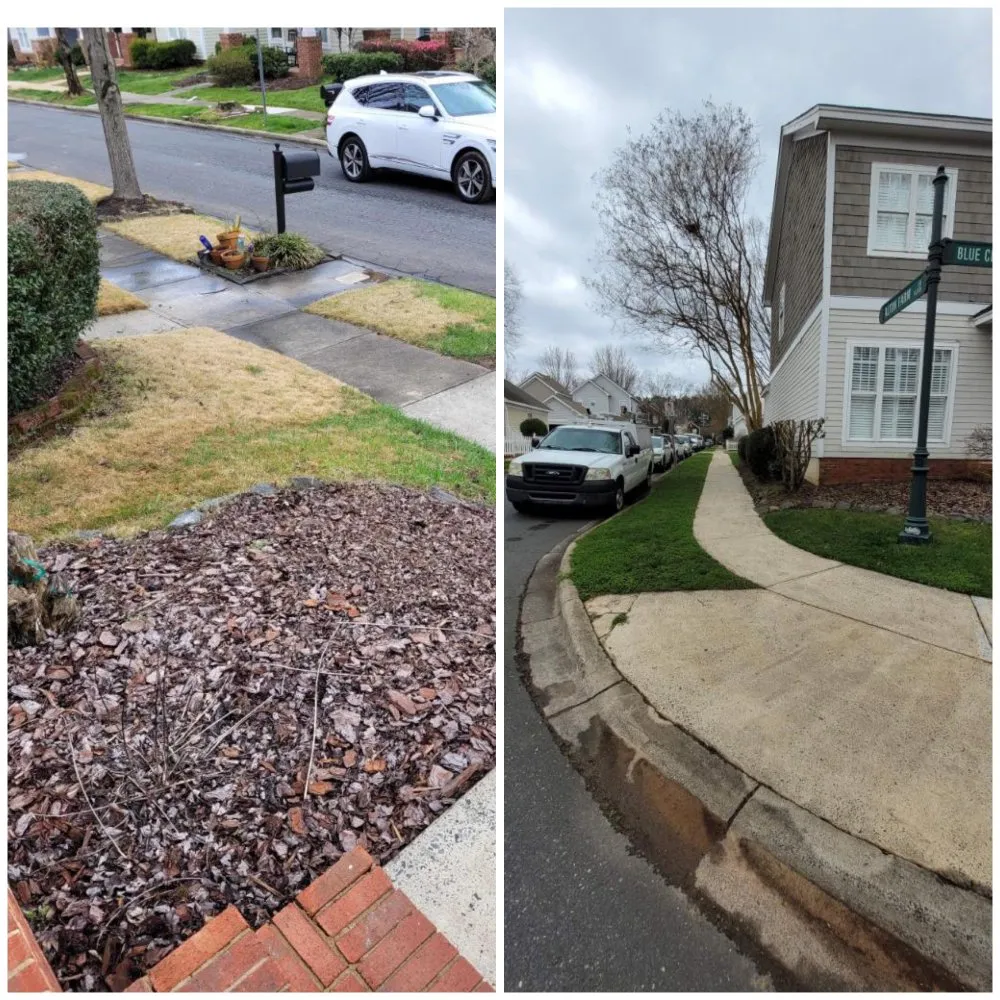 Trusted yard cleanup service with custom design in Fort Mill, SC by Together As One Properties