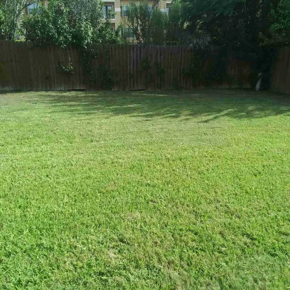 Top-rated landscaping services for outdoor upgrades in Richland Hills, TX by Together landscaping