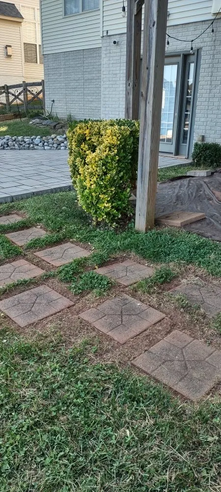 Trusted outdoor landscaping for homes across Gainesville, VA - Together United Services