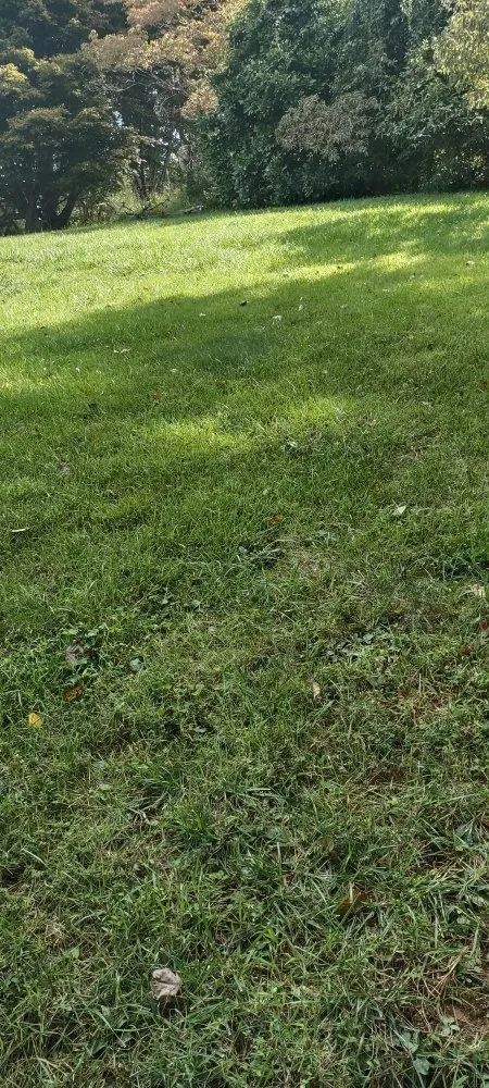 Expert garden landscaping for outdoor upgrades in Gainesville, VA by Together United Services