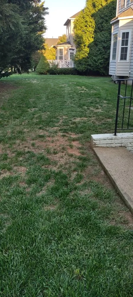 Top-rated landscaping services for homes across Gainesville, VA - Together United Services