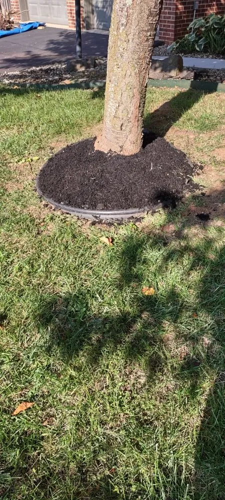 Affordable landscaping services for outdoor upgrades in Gainesville, VA by Together United Services