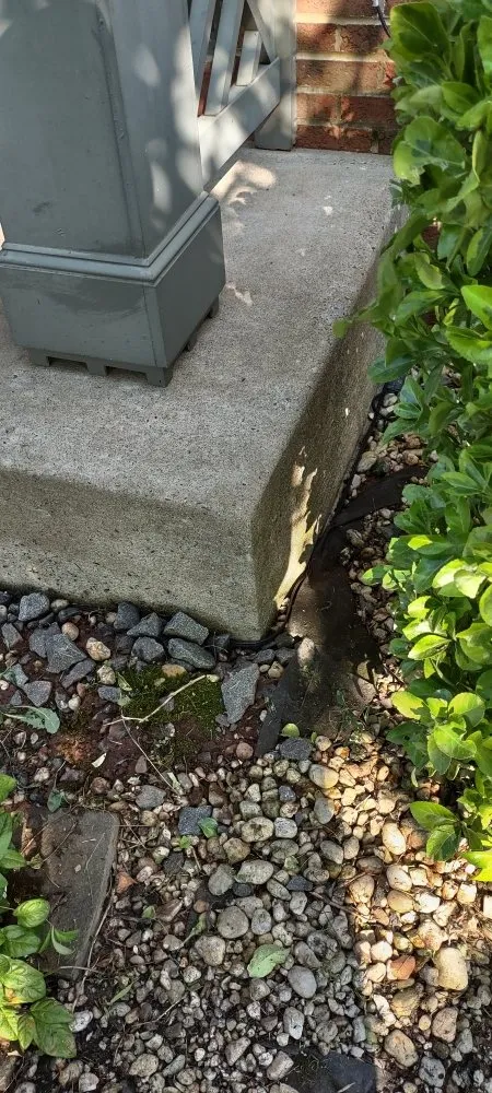 Local yard cleanup service for homes across Gainesville, VA - Together United Services