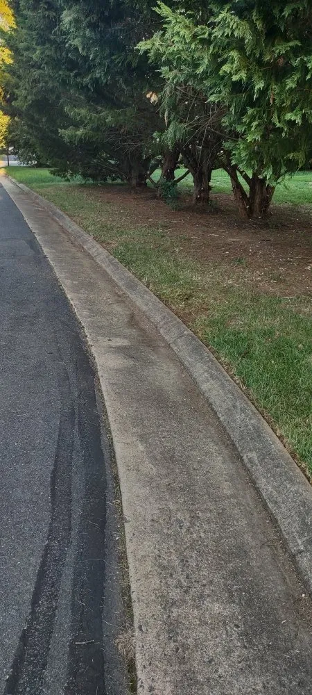 Reliable landscaping services for homes across Gainesville, VA - Together United Services