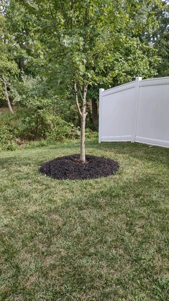 Reliable landscape design in Gainesville, VA by Together United Services