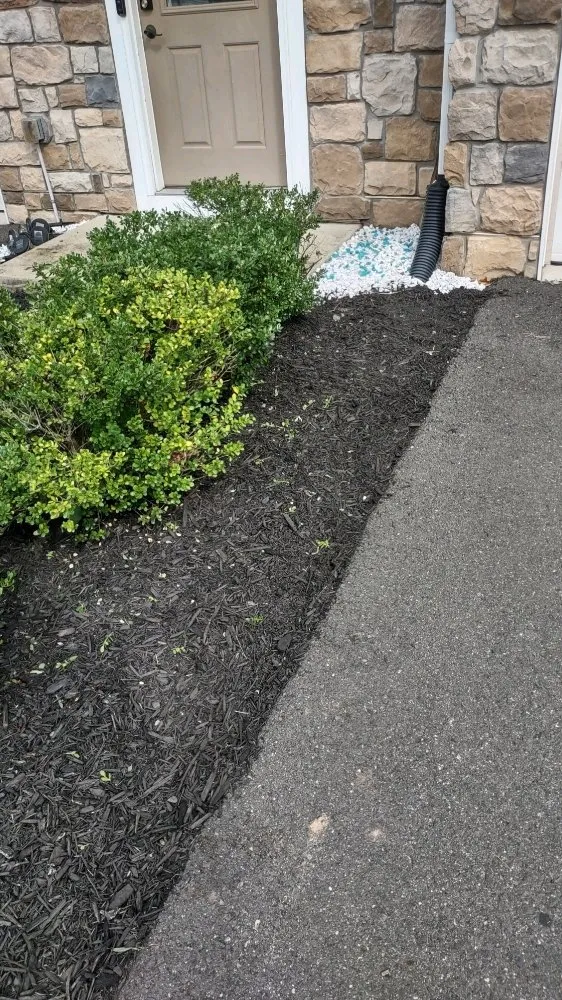 Reliable lawn mowing service for homes across Gainesville, VA - Together United Services