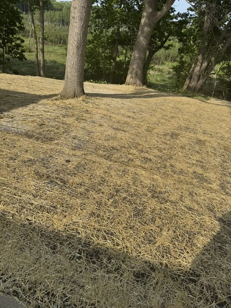 Affordable landscape design for outdoor upgrades in Antioch, IL by Tognarelli Lawn Care