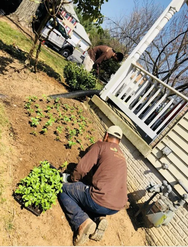 Affordable lawn mowing service in Spencerville, MD - Togo Landscaping