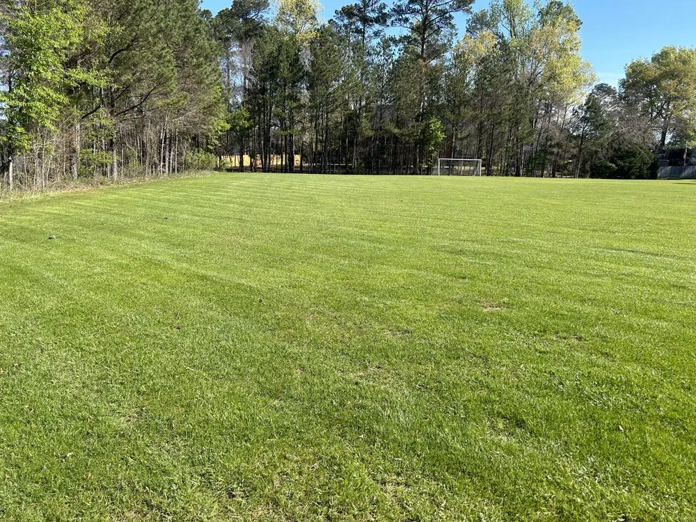 Affordable outdoor landscaping experts serving Evans, GA - Tok Services