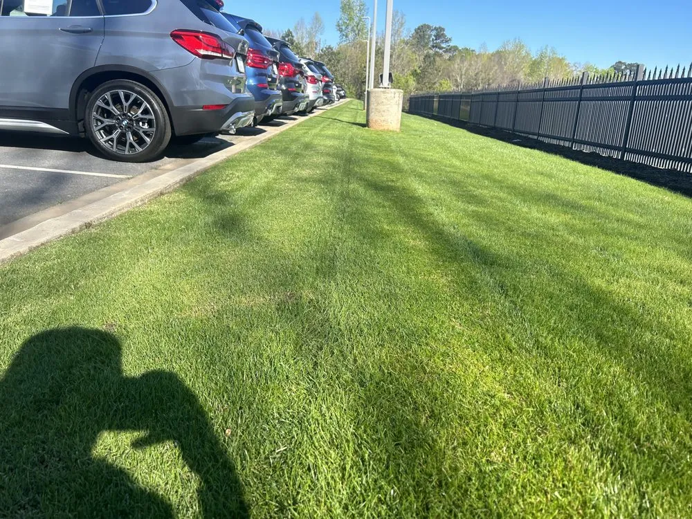 Affordable lawn care service for outdoor upgrades across Evans, GA - Tok Services