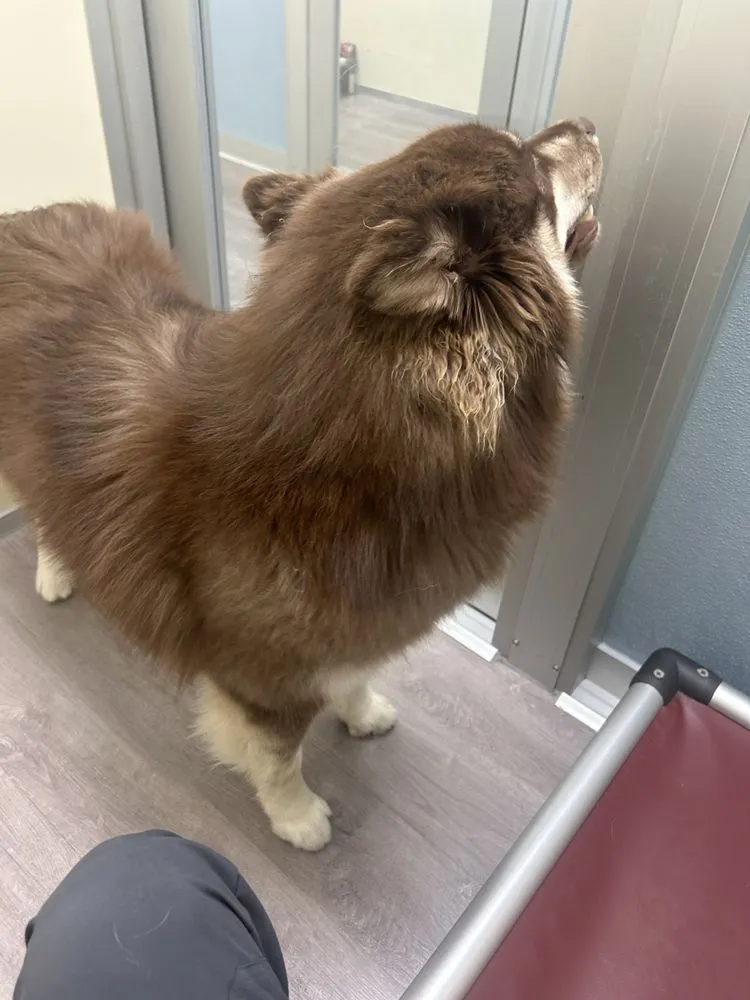 Affordable landscape design near you in Evans, GA by Tok Services