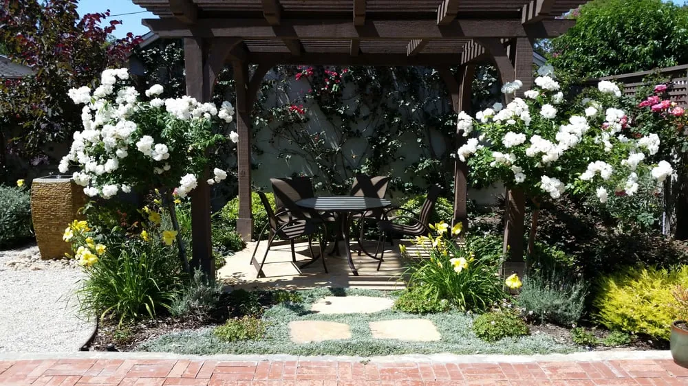 Trusted lawn care service in Northridge, CA by Tokiwa Landscape