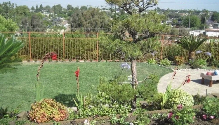 Affordable yard cleanup service experts serving Northridge, CA - Tokiwa Landscape