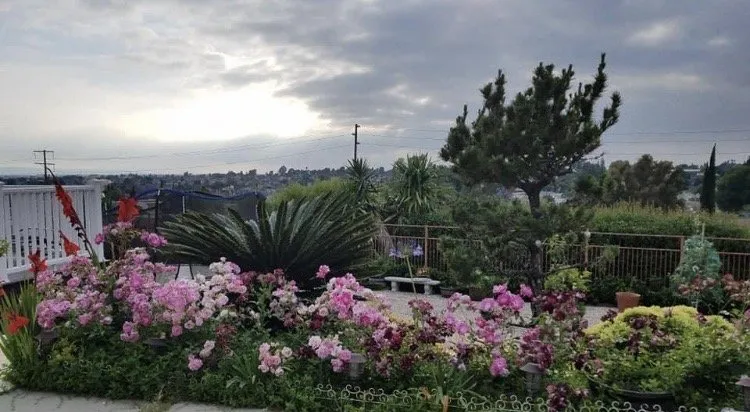 Affordable landscape design experts serving Northridge, CA - Tokiwa Landscape