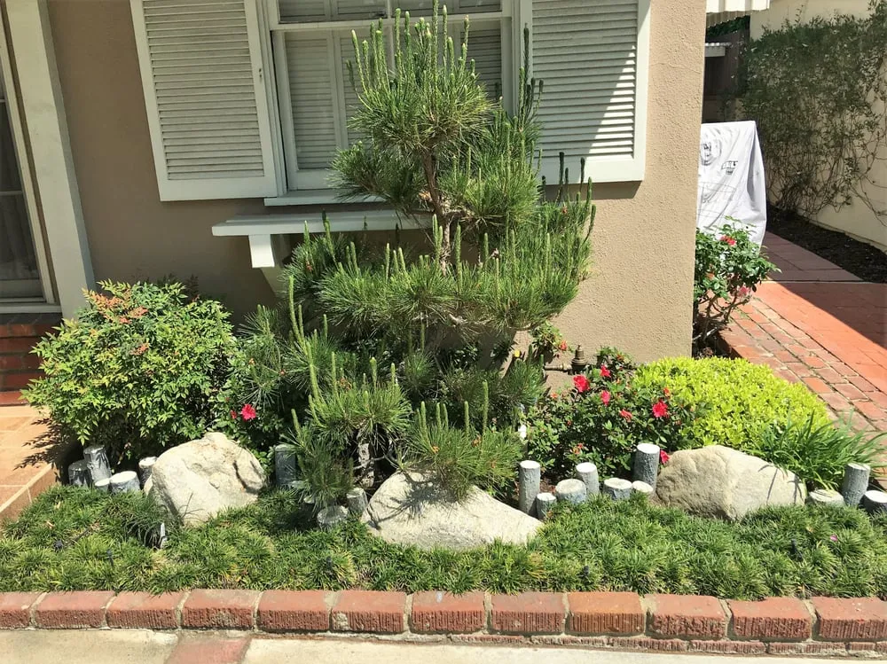 Local landscape installation in Northridge, CA - Tokiwa Landscape