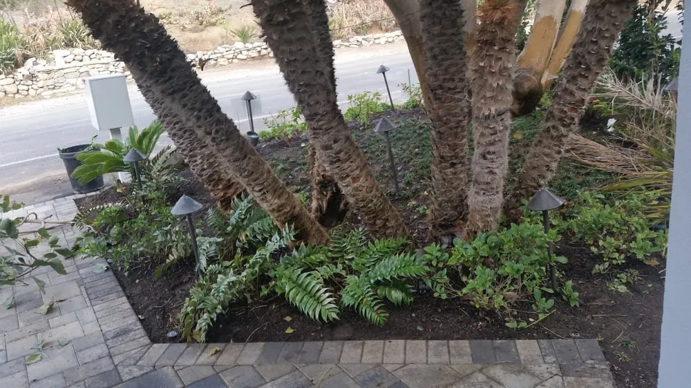 Expert residential landscaping in Northridge, CA - Tokiwa Landscape