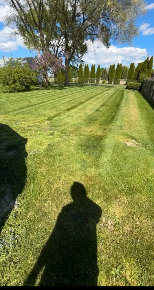 Reliable yard maintenance in Saginaw, MI - Tolasch Lawn Care