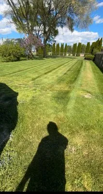 Tolasch Lawn Care Logo