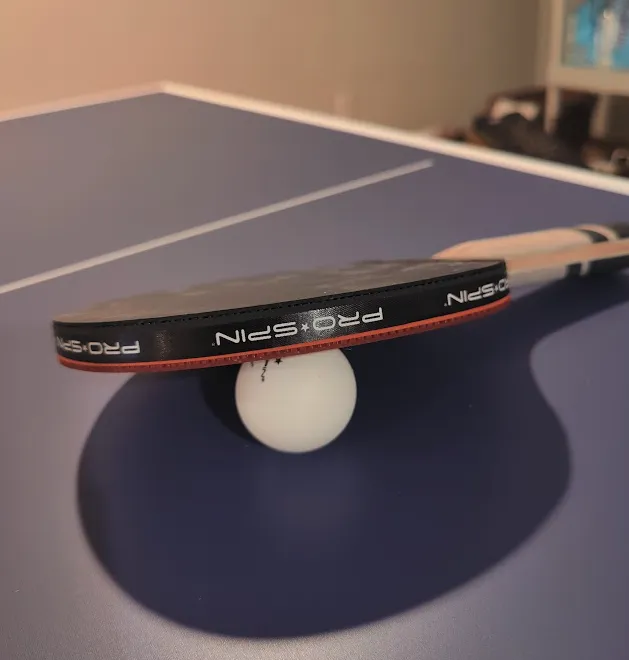 Local garden landscaping for homes in Belleville, NJ by Toledo Handy