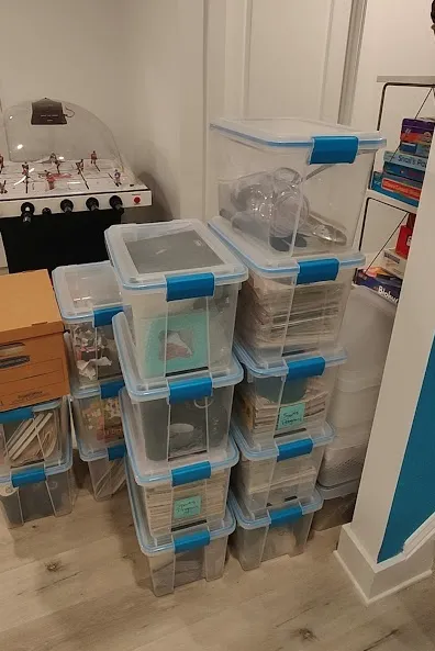 Trusted yard cleanup service in Belleville, NJ by Toledo Handy