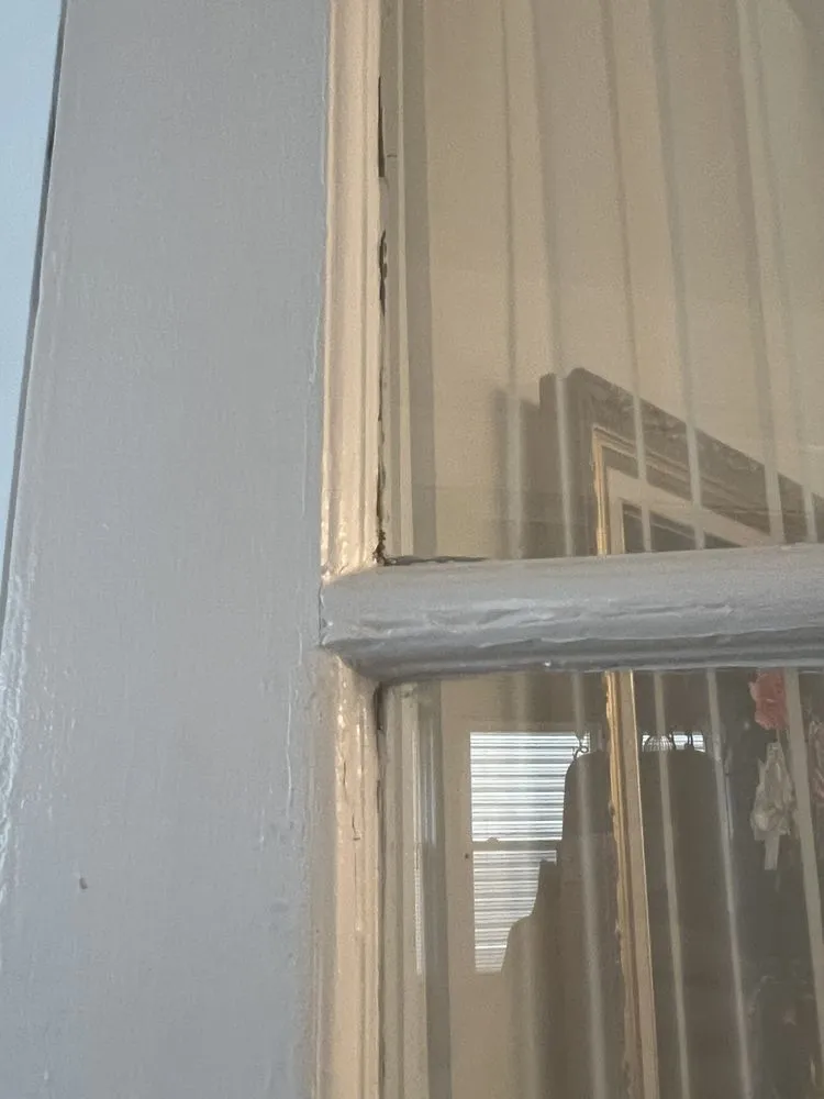 Affordable lawn care service experts serving Belleville, NJ - Toledo Handy