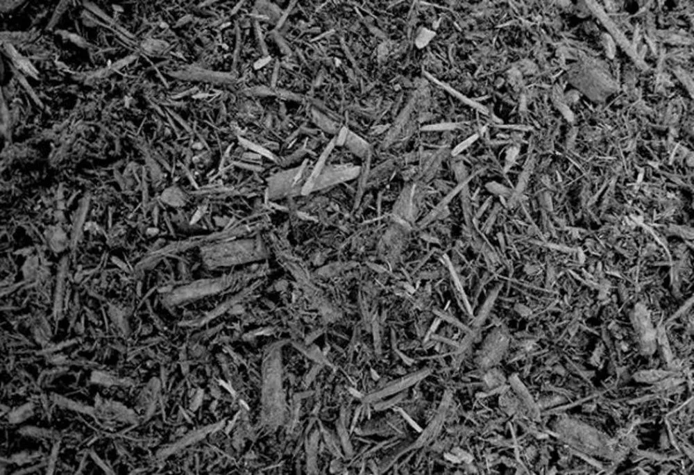 Local outdoor landscaping in Toledo, OH by Toledo Lawns