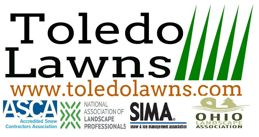 Expert yard maintenance for year-round maintenance across Toledo, OH - Toledo Lawns