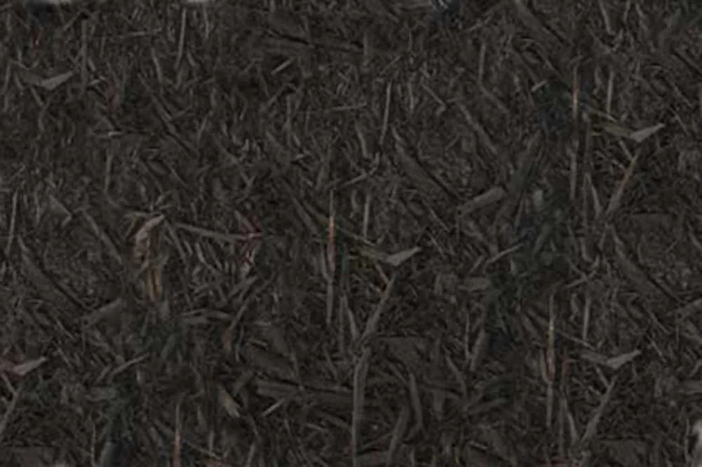 Top-rated landscape installation for year-round maintenance across Toledo, OH - Toledo Lawns