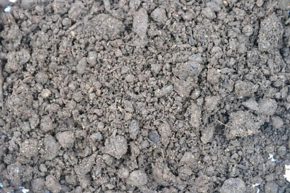 Top-rated lawn mowing service experts serving Toledo, OH - Toledo Lawns