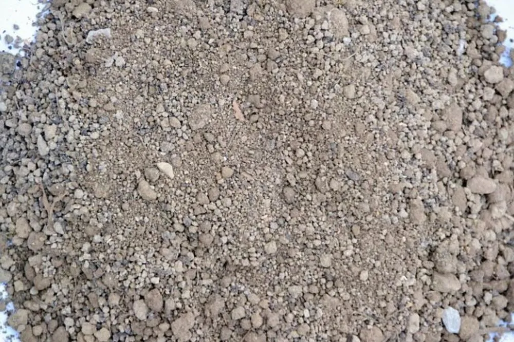 Trusted yard maintenance in Toledo, OH by Toledo Lawns