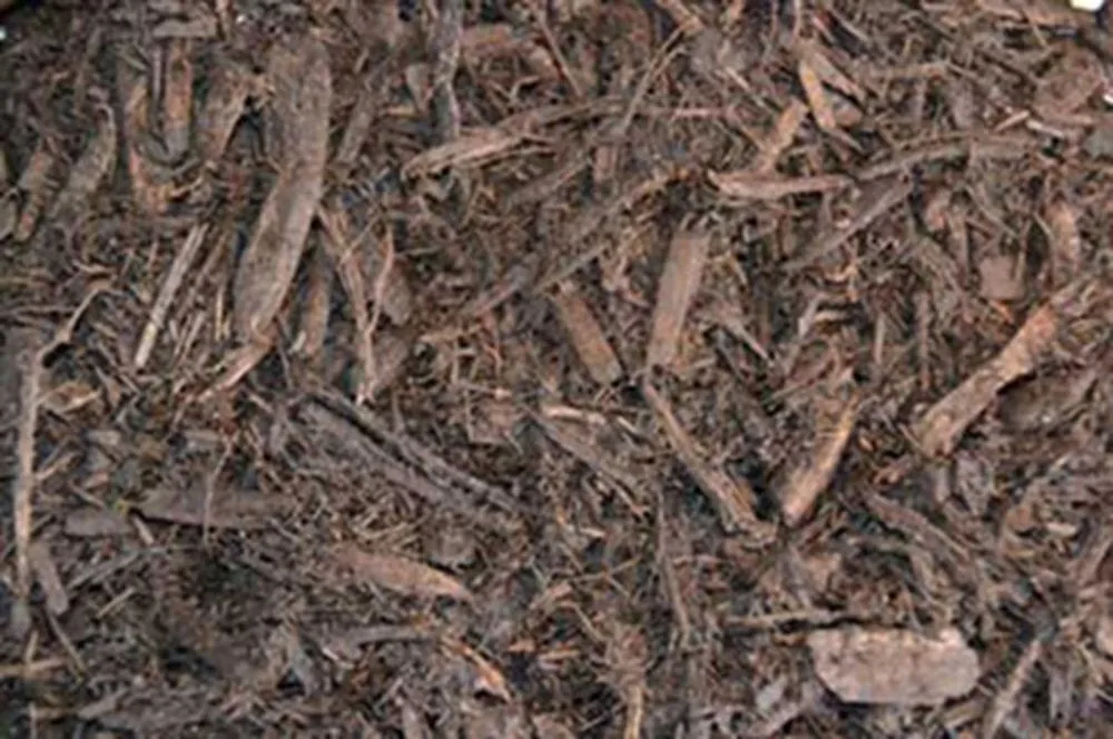 Professional lawn mowing service in Toledo, OH - Toledo Lawns