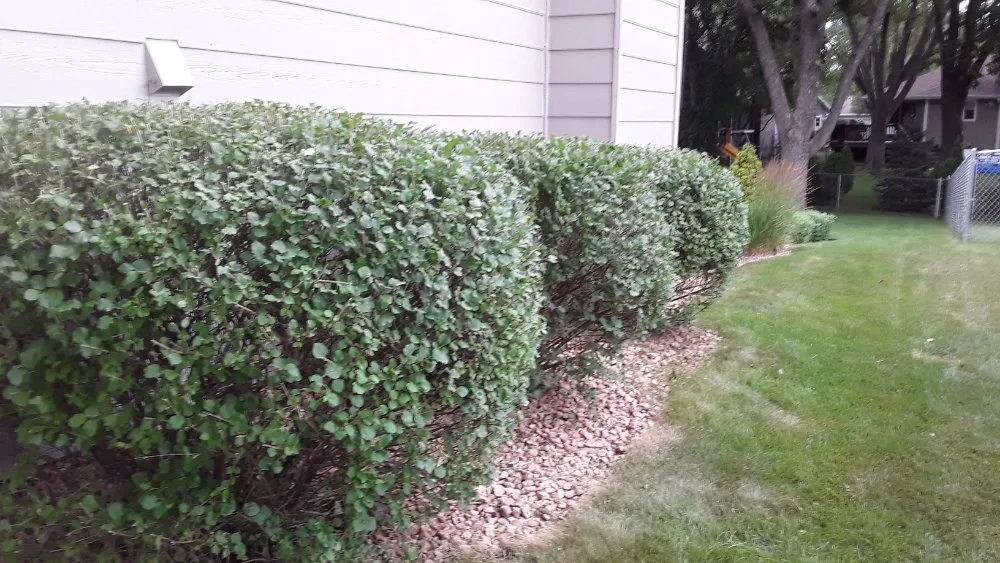 Trusted lawn mowing service in Shakopee, MN - Toledo Yardscape