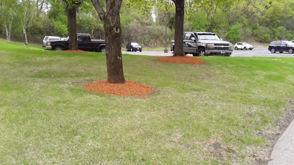 Reliable landscaping services in Shakopee, MN - Toledo Yardscape