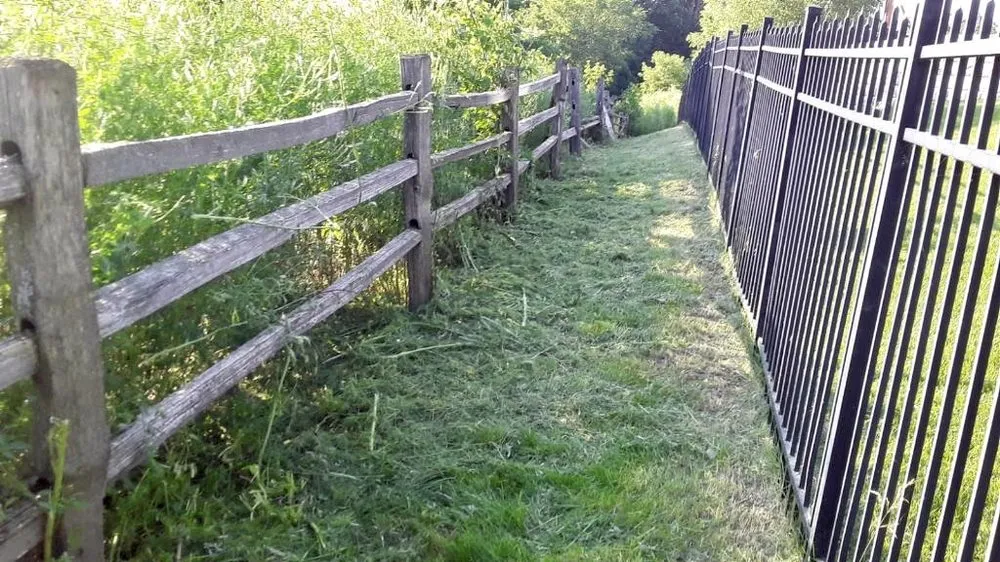 Professional lawn mowing service near you across Shakopee, MN - Toledo Yardscape