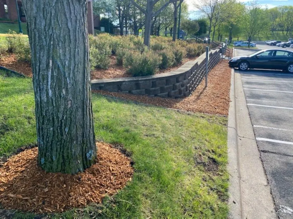 Local landscaping services near you in Shakopee, MN by Toledo Yardscape