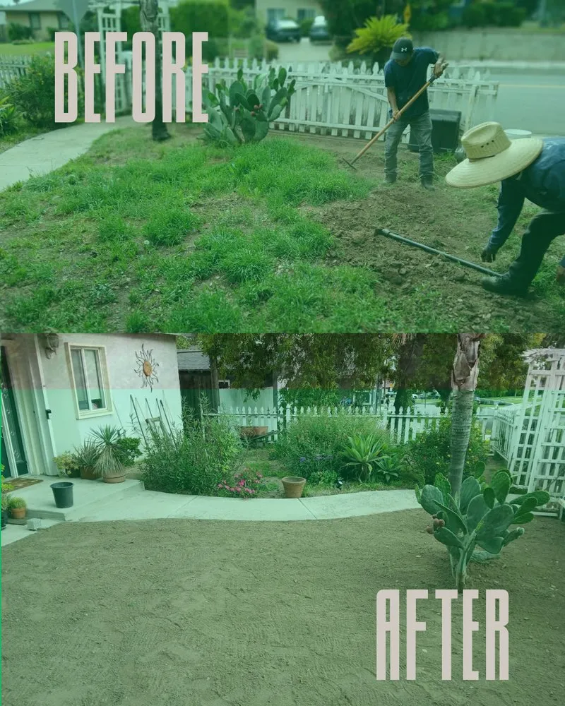 Top-rated residential landscaping in Alhambra, CA - Toledos Gardens