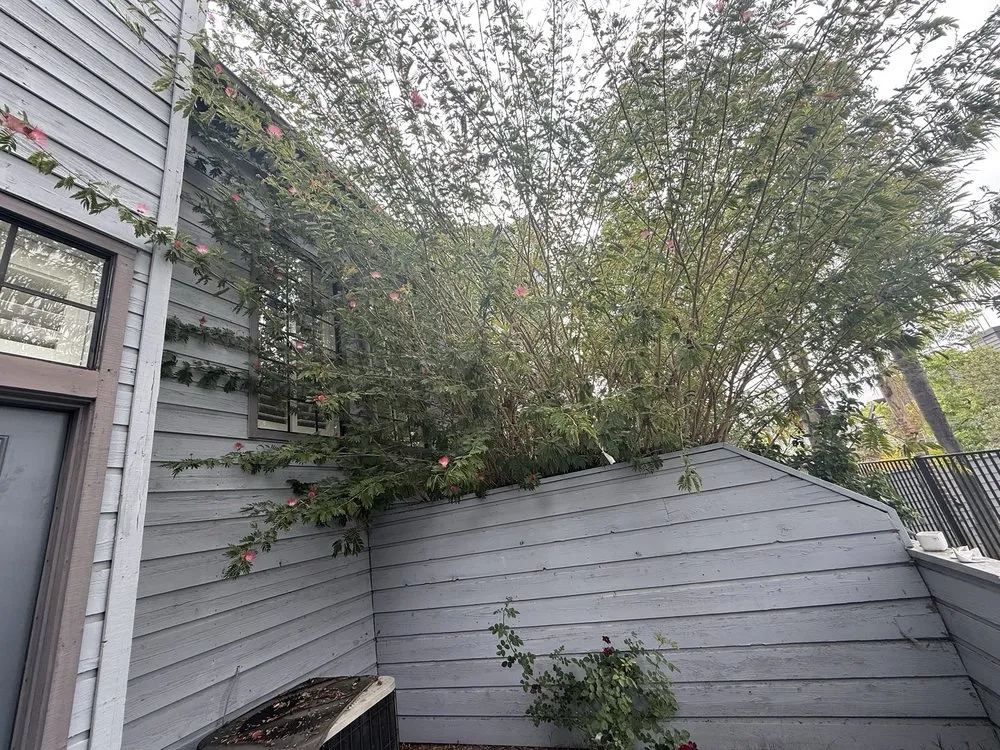 Expert lawn mowing service experts serving Alhambra, CA - Toledos Gardens