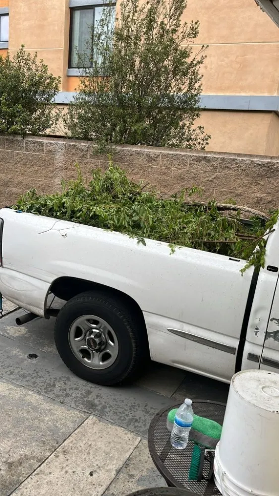 Top-rated landscaping services in Alhambra, CA by Toledos Gardens