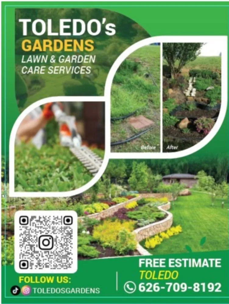 Local yard maintenance experts serving Alhambra, CA - Toledos Gardens