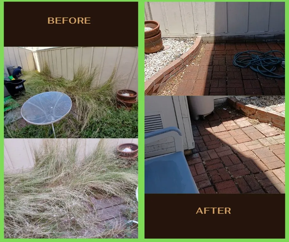 Affordable landscape installation for beautiful yards across Alhambra, CA - Toledos Gardens